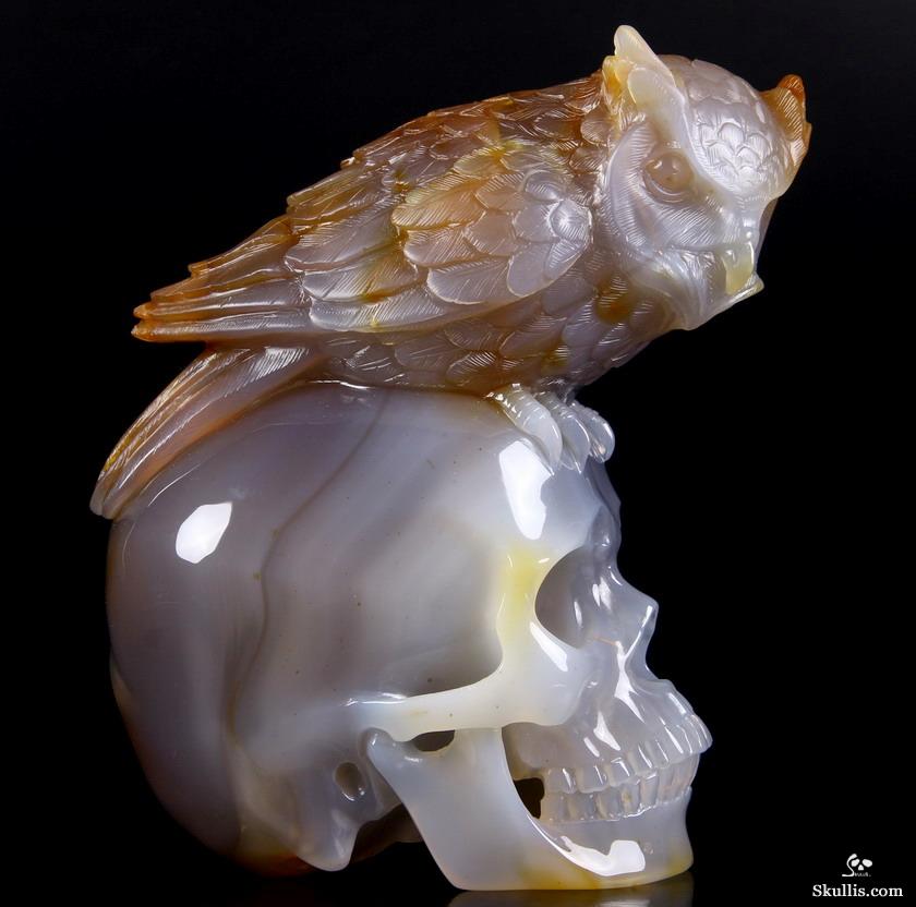 Huge 6.4" Carnelian Carved Crystal Skull with Owl Sculpture Huge 6.4" Carnelian Carved Crystal Skull with Owl Sculpture