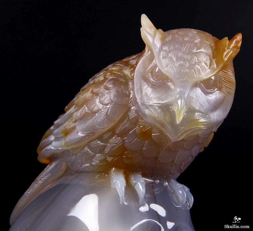 Huge 6.4" Carnelian Carved Crystal Skull with Owl Sculpture Huge 6.4" Carnelian Carved Crystal Skull with Owl Sculpture