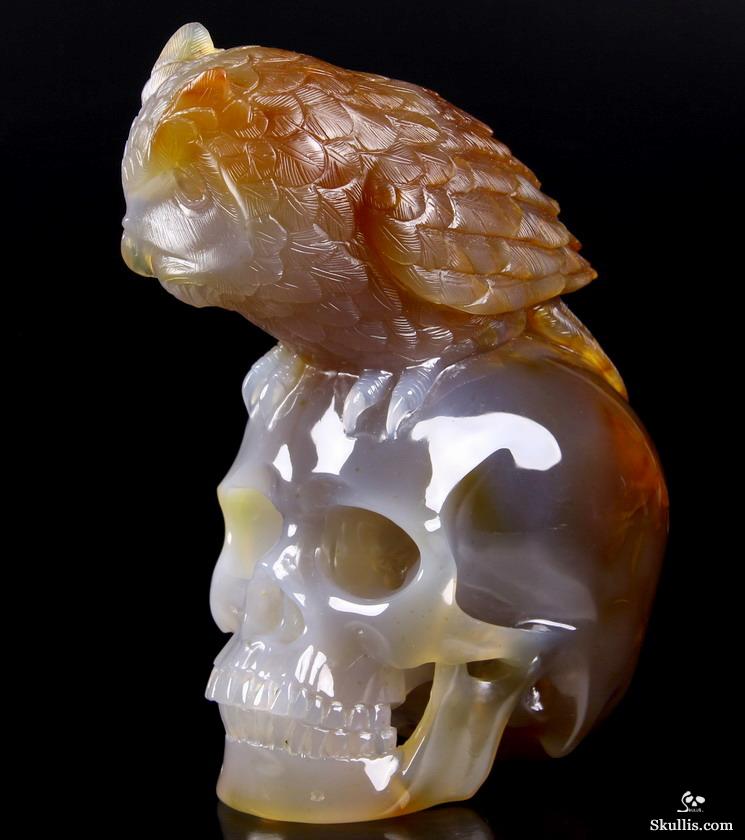 Huge 6.4" Carnelian Carved Crystal Skull with Owl Sculpture Huge 6.4" Carnelian Carved Crystal Skull with Owl Sculpture