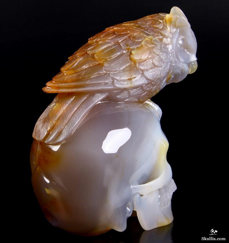 Huge 6.4" Carnelian Carved Crystal Skull with Owl Sculpture Huge 6.4" Carnelian Carved Crystal Skull with Owl Sculpture