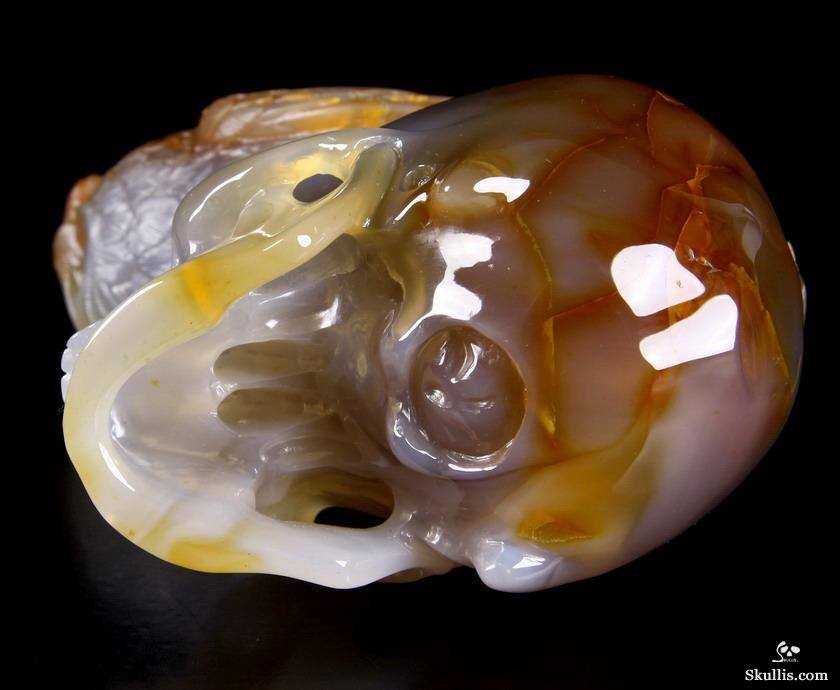 Huge 6.4" Carnelian Carved Crystal Skull with Owl Sculpture Huge 6.4" Carnelian Carved Crystal Skull with Owl Sculpture