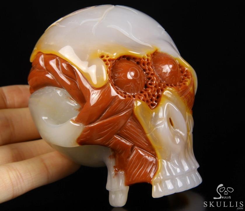Original Design 3.5" Agate Carved Crystal Skull With Brain Sculpture, Realistic, Healing Original Design 3.5" Agate Carved Crystal Skull With Brain Sculpture, Realistic, Healing
