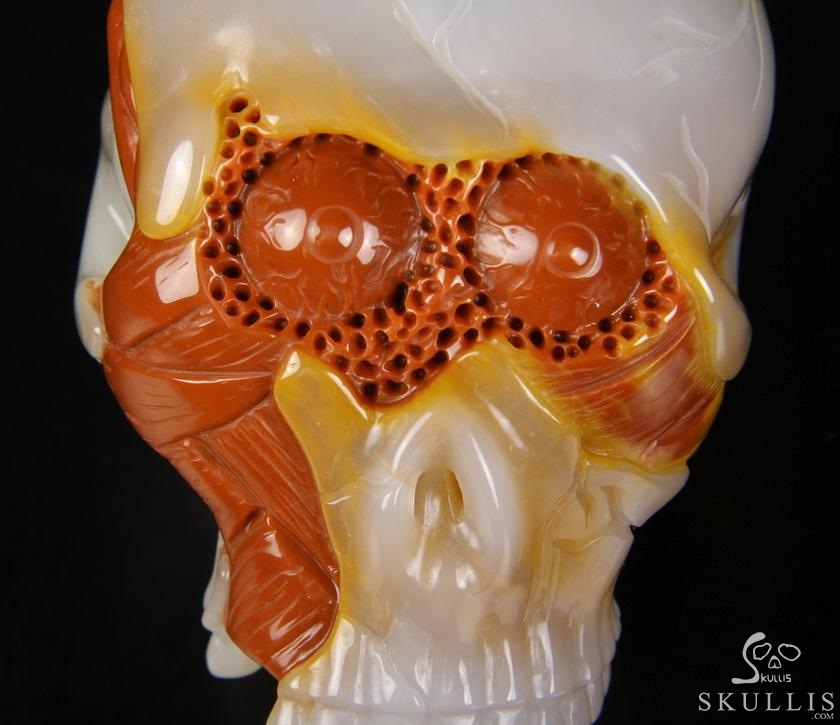 Original Design 3.5" Agate Carved Crystal Skull With Brain Sculpture, Realistic, Healing Original Design 3.5" Agate Carved Crystal Skull With Brain Sculpture, Realistic, Healing