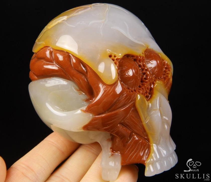 Original Design 3.5" Agate Carved Crystal Skull With Brain Sculpture, Realistic, Healing Original Design 3.5" Agate Carved Crystal Skull With Brain Sculpture, Realistic, Healing