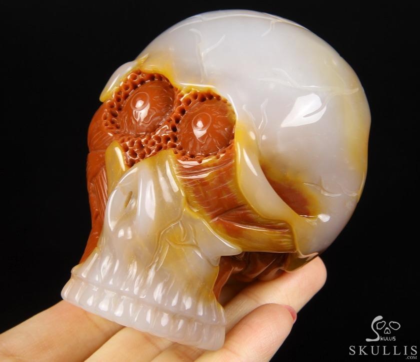 Original Design 3.5" Agate Carved Crystal Skull With Brain Sculpture, Realistic, Healing Original Design 3.5" Agate Carved Crystal Skull With Brain Sculpture, Realistic, Healing