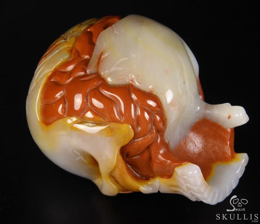 Original Design 3.5" Agate Carved Crystal Skull With Brain Sculpture, Realistic, Healing Original Design 3.5" Agate Carved Crystal Skull With Brain Sculpture, Realistic, Healing