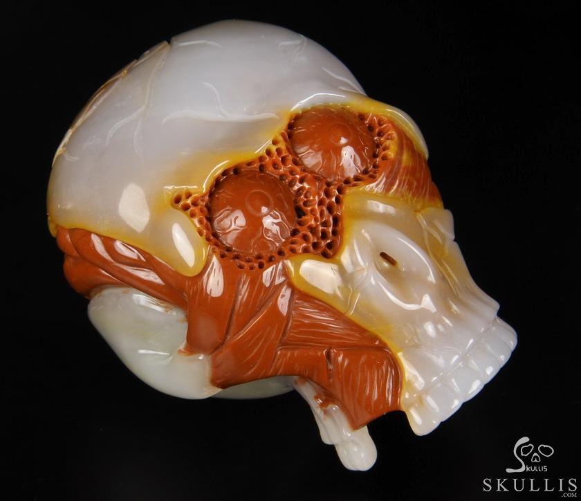 Original Design 3.5" Agate Carved Crystal Skull With Brain Sculpture, Realistic, Healing Original Design 3.5" Agate Carved Crystal Skull With Brain Sculpture, Realistic, Healing