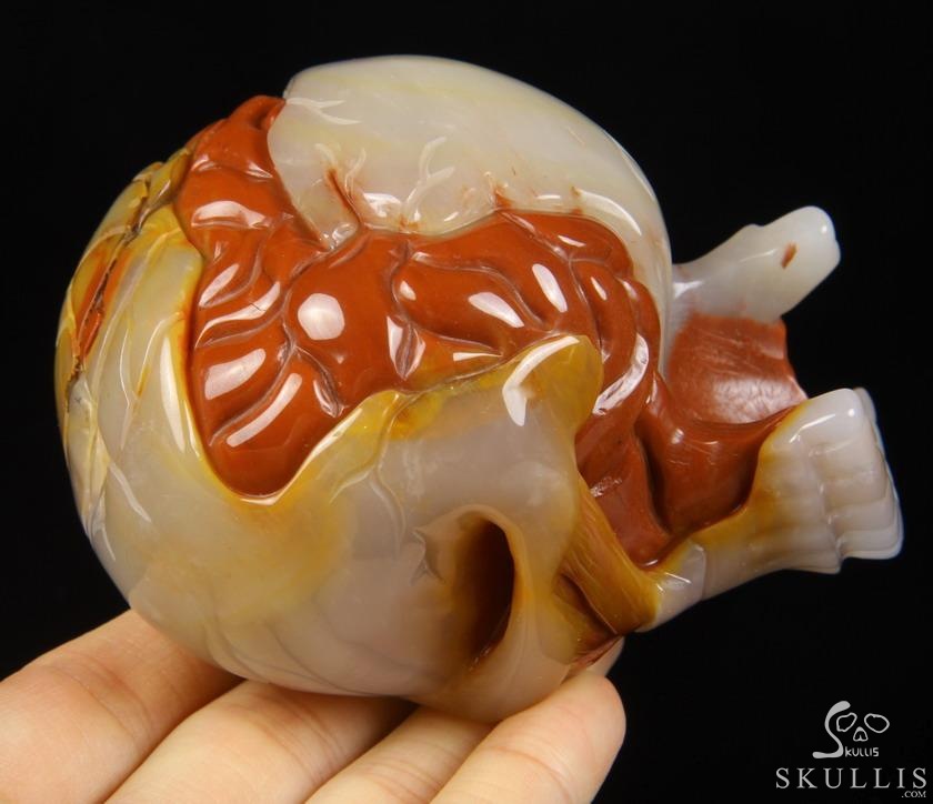 Original Design 3.5" Agate Carved Crystal Skull With Brain Sculpture, Realistic, Healing Original Design 3.5" Agate Carved Crystal Skull With Brain Sculpture, Realistic, Healing