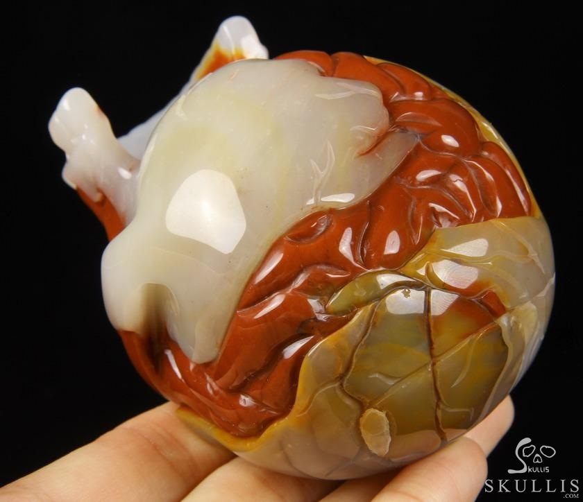Original Design 3.5" Agate Carved Crystal Skull With Brain Sculpture, Realistic, Healing Original Design 3.5" Agate Carved Crystal Skull With Brain Sculpture, Realistic, Healing