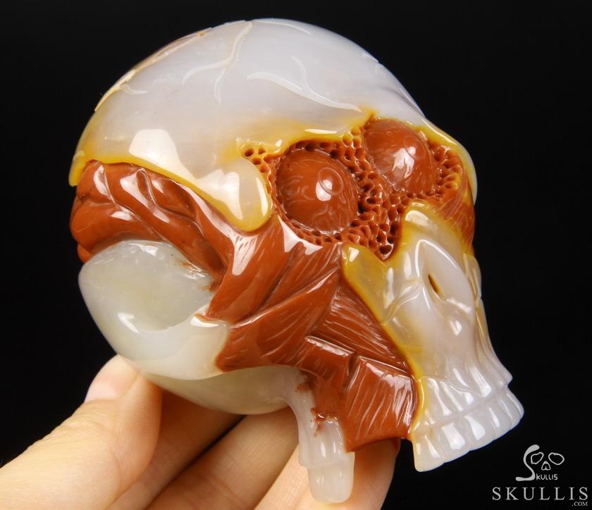 Original Design 3.5" Agate Carved Crystal Skull With Brain Sculpture, Realistic, Healing Original Design 3.5" Agate Carved Crystal Skull With Brain Sculpture, Realistic, Healing