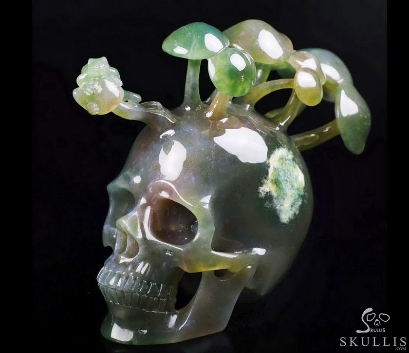 New 5.4" Indian Agate Carved Crystal Skull & Mushroom with Frog Sculpture, Crystal Healing New 5.4" Indian Agate Carved Crystal Skull & Mushroom with Frog Sculpture, Crystal Healing