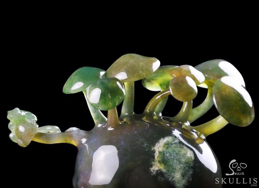 New 5.4" Indian Agate Carved Crystal Skull & Mushroom with Frog Sculpture, Crystal Healing New 5.4" Indian Agate Carved Crystal Skull & Mushroom with Frog Sculpture, Crystal Healing