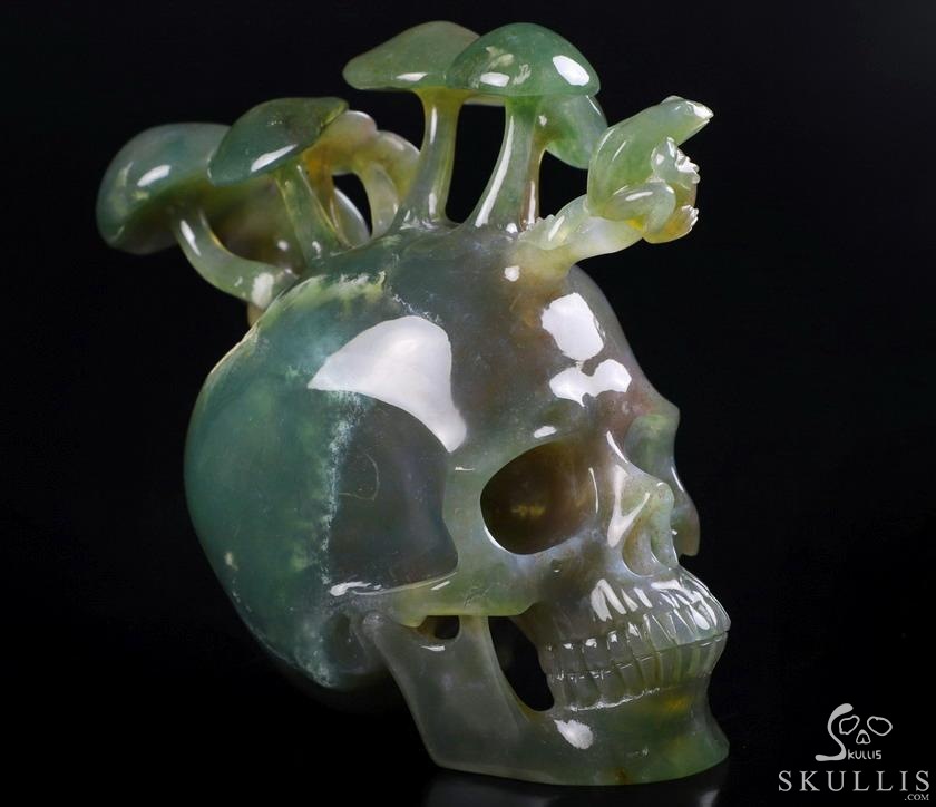 New 5.4" Indian Agate Carved Crystal Skull & Mushroom with Frog Sculpture, Crystal Healing New 5.4" Indian Agate Carved Crystal Skull & Mushroom with Frog Sculpture, Crystal Healing