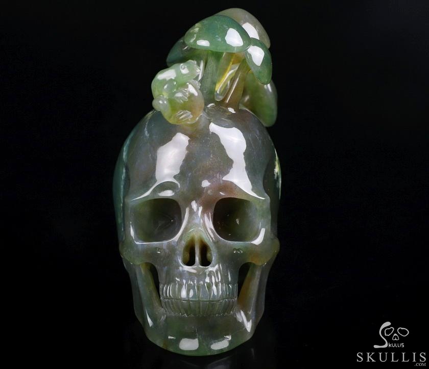 New 5.4" Indian Agate Carved Crystal Skull & Mushroom with Frog Sculpture, Crystal Healing New 5.4" Indian Agate Carved Crystal Skull & Mushroom with Frog Sculpture, Crystal Healing