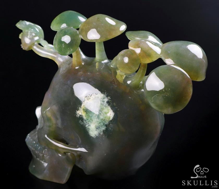 New 5.4" Indian Agate Carved Crystal Skull & Mushroom with Frog Sculpture, Crystal Healing New 5.4" Indian Agate Carved Crystal Skull & Mushroom with Frog Sculpture, Crystal Healing