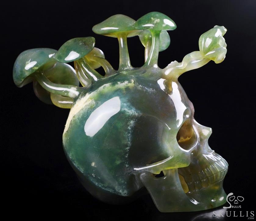 New 5.4" Indian Agate Carved Crystal Skull & Mushroom with Frog Sculpture, Crystal Healing New 5.4" Indian Agate Carved Crystal Skull & Mushroom with Frog Sculpture, Crystal Healing