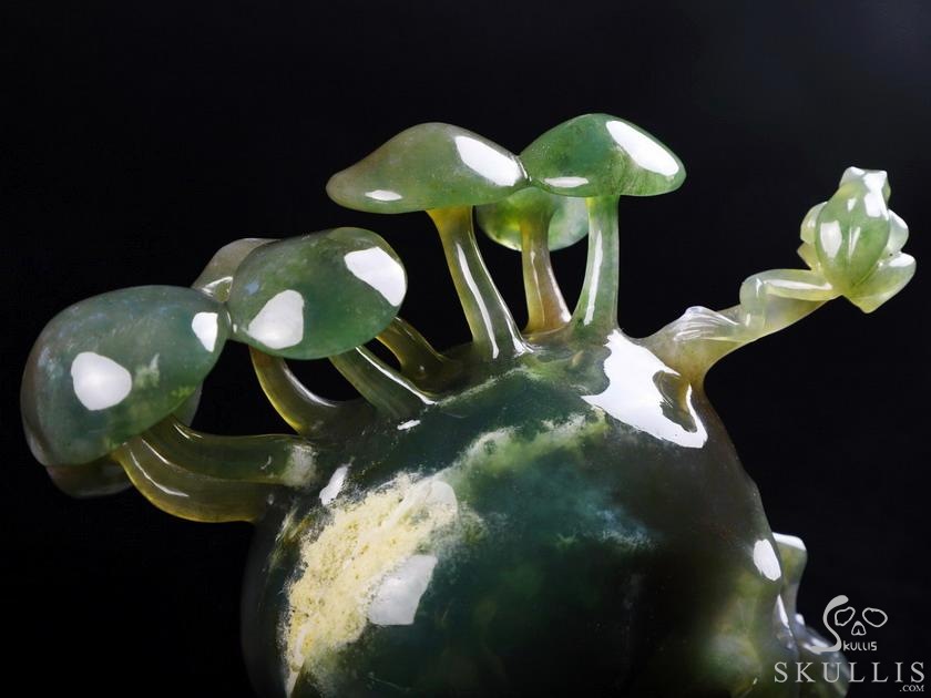 New 5.4" Indian Agate Carved Crystal Skull & Mushroom with Frog Sculpture, Crystal Healing New 5.4" Indian Agate Carved Crystal Skull & Mushroom with Frog Sculpture, Crystal Healing