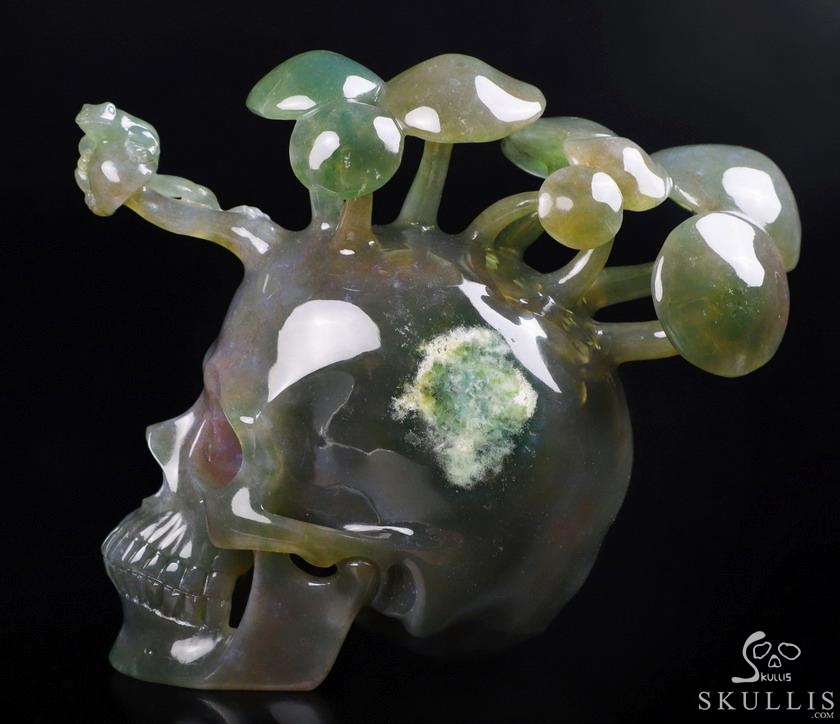 New 5.4" Indian Agate Carved Crystal Skull & Mushroom with Frog Sculpture, Crystal Healing New 5.4" Indian Agate Carved Crystal Skull & Mushroom with Frog Sculpture, Crystal Healing