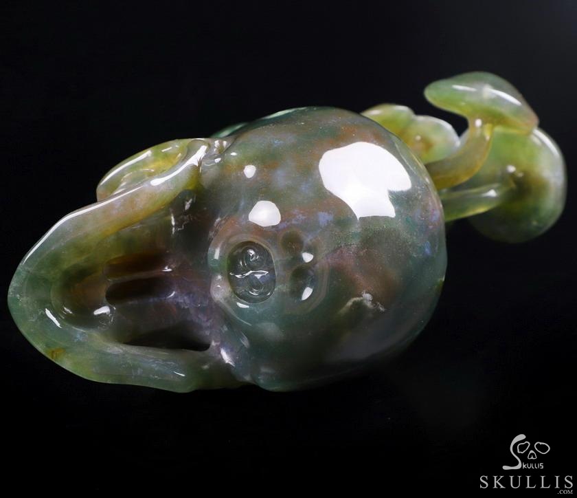 New 5.4" Indian Agate Carved Crystal Skull & Mushroom with Frog Sculpture, Crystal Healing New 5.4" Indian Agate Carved Crystal Skull & Mushroom with Frog Sculpture, Crystal Healing