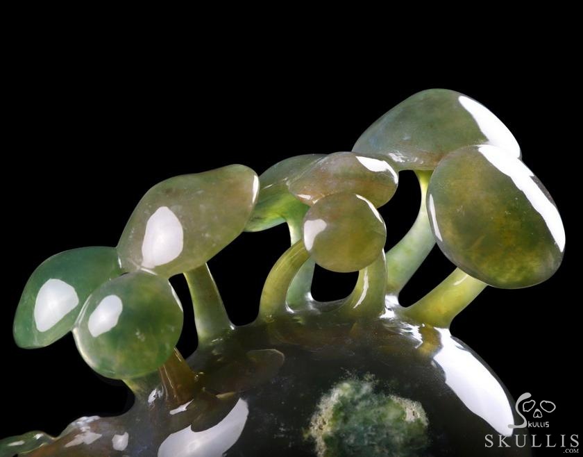 New 5.4" Indian Agate Carved Crystal Skull & Mushroom with Frog Sculpture, Crystal Healing New 5.4" Indian Agate Carved Crystal Skull & Mushroom with Frog Sculpture, Crystal Healing
