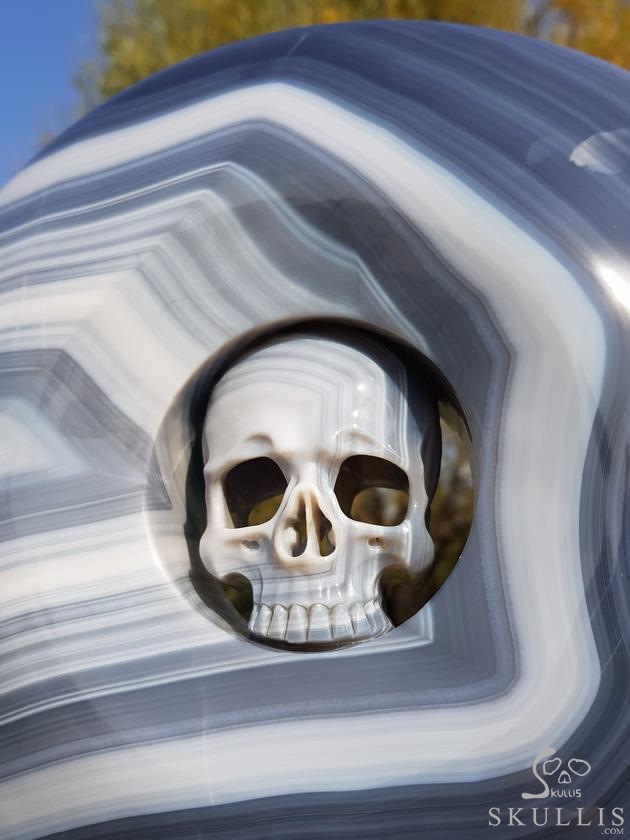 Huge 10.6" Gray & White Agate Carved Crystal Skull Ping buckle, Crystal Healing Huge 10.6" Gray & White Agate Carved Crystal Skull Ping buckle, Crystal Healing