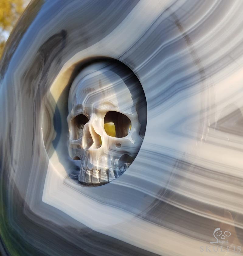 Huge 10.6" Gray & White Agate Carved Crystal Skull Ping buckle, Crystal Healing Huge 10.6" Gray & White Agate Carved Crystal Skull Ping buckle, Crystal Healing