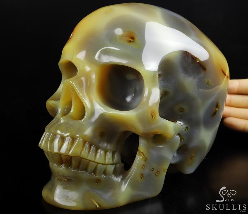 Gemstone Lifesized 6.7" Agate Carved Crystal Skull,Super Realistic, Crystal Healing Gemstone Lifesized 6.7" Agate Carved Crystal Skull,Super Realistic, Crystal Healing