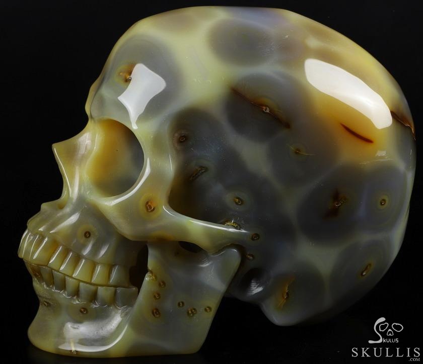 Gemstone Lifesized 6.7" Agate Carved Crystal Skull,Super Realistic, Crystal Healing Gemstone Lifesized 6.7" Agate Carved Crystal Skull,Super Realistic, Crystal Healing