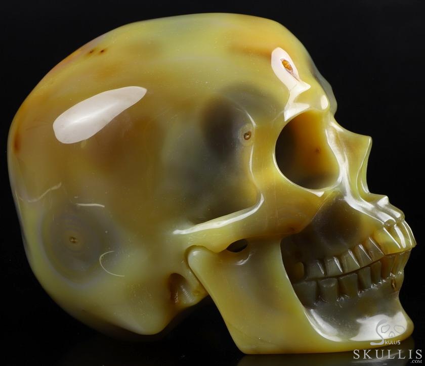 Gemstone Lifesized 6.7" Agate Carved Crystal Skull,Super Realistic, Crystal Healing Gemstone Lifesized 6.7" Agate Carved Crystal Skull,Super Realistic, Crystal Healing