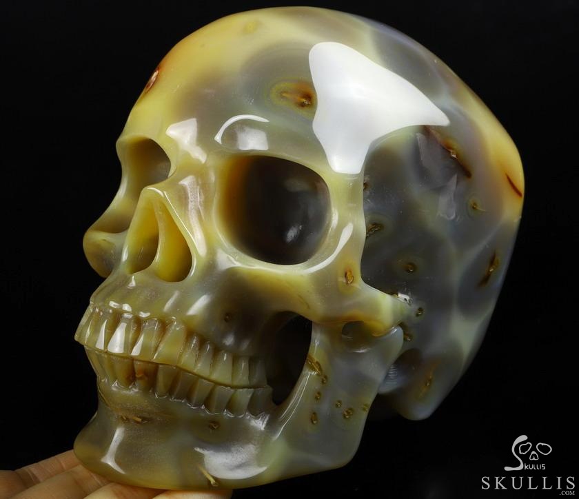 Gemstone Lifesized 6.7" Agate Carved Crystal Skull,Super Realistic, Crystal Healing Gemstone Lifesized 6.7" Agate Carved Crystal Skull,Super Realistic, Crystal Healing