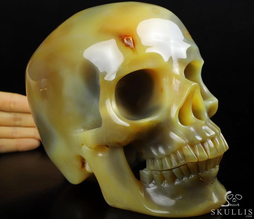 Gemstone Lifesized 6.7" Agate Carved Crystal Skull,Super Realistic, Crystal Healing Gemstone Lifesized 6.7" Agate Carved Crystal Skull,Super Realistic, Crystal Healing
