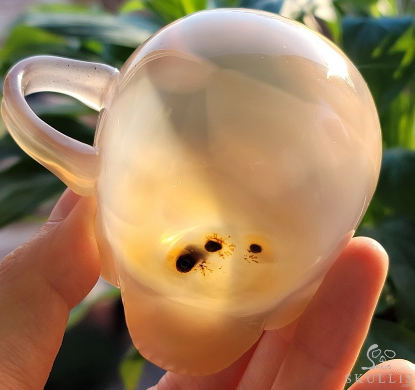 Skullis Minima - 2 oz Premium Brazilian Agate Espresso Coffee Cup, Hand-Carved Crystal Skull Vessel, Gemstone Crystal Healing Skullis Minima - 2 oz Premium Brazilian Agate Espresso Coffee Cup, Hand-Carved Crystal Skull Vessel, Gemstone Crystal Healing