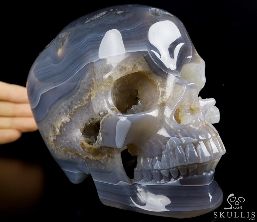 Lifesized Geode 6.5" Agate Geode Carved Crystal Skull,Super Realistic, Crystal Healing Lifesized Geode 6.5" Agate Geode Carved Crystal Skull,Super Realistic, Crystal Healing