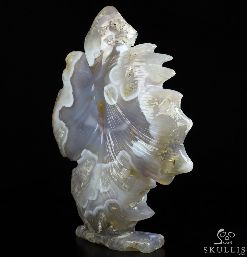 9.6" Agate Carved Crystal Skull & Leaves, Crystal Healing 9.6" Agate Carved Crystal Skull & Leaves, Crystal Healing
