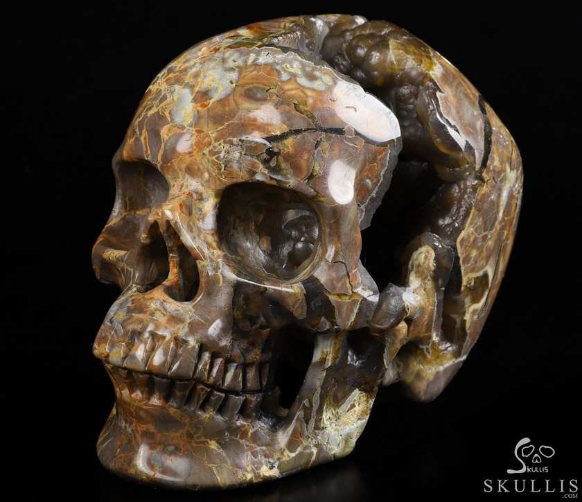 Lifesized Geode 6.2" Dinosaur Egg Agate Carved Crystal Skull,Super Realistic, Crystal Healing Lifesized Geode 6.2" Dinosaur Egg Agate Carved Crystal Skull,Super Realistic, Crystal Healing