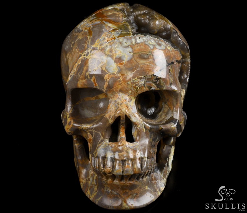 Lifesized Geode 6.2" Dinosaur Egg Agate Carved Crystal Skull,Super Realistic, Crystal Healing Lifesized Geode 6.2" Dinosaur Egg Agate Carved Crystal Skull,Super Realistic, Crystal Healing
