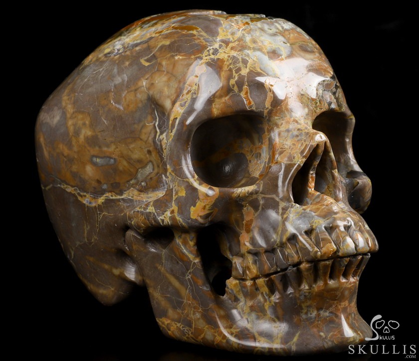 Lifesized Geode 6.2" Dinosaur Egg Agate Carved Crystal Skull,Super Realistic, Crystal Healing Lifesized Geode 6.2" Dinosaur Egg Agate Carved Crystal Skull,Super Realistic, Crystal Healing
