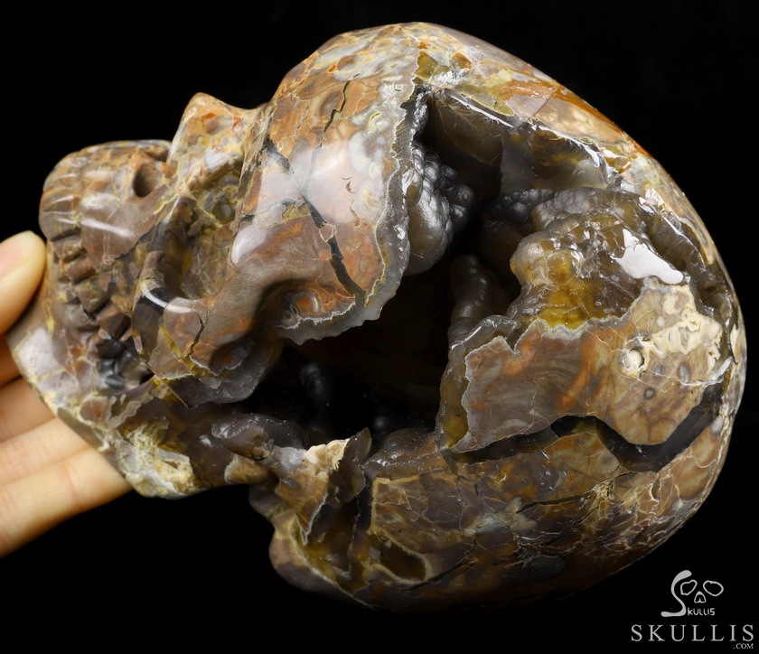 Lifesized Geode 6.2" Dinosaur Egg Agate Carved Crystal Skull,Super Realistic, Crystal Healing Lifesized Geode 6.2" Dinosaur Egg Agate Carved Crystal Skull,Super Realistic, Crystal Healing