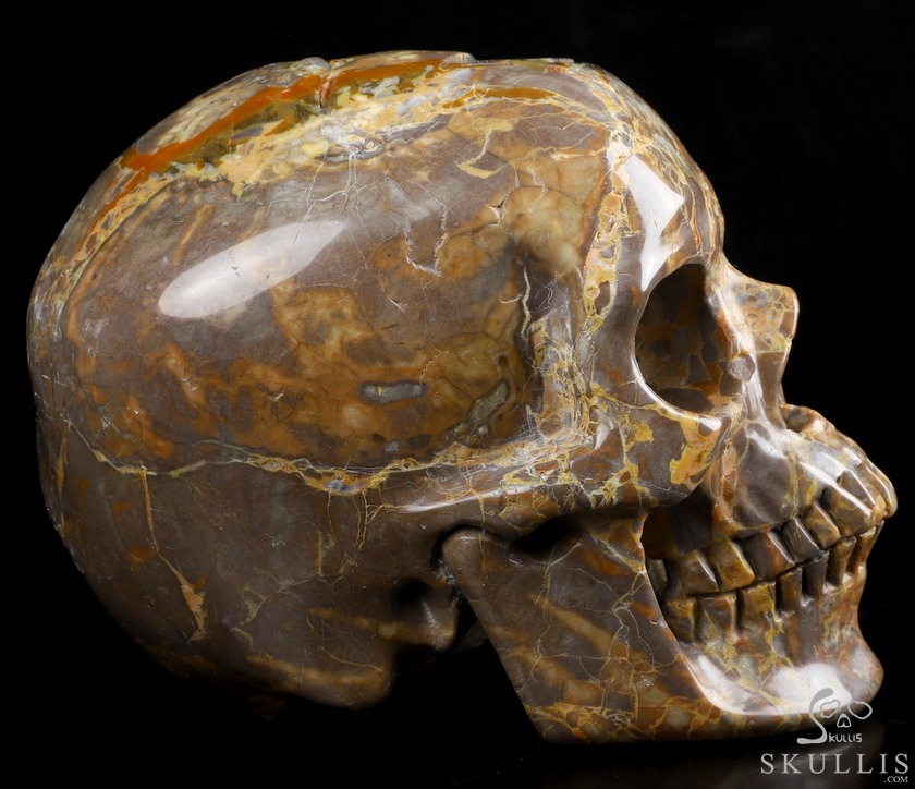 Lifesized Geode 6.2" Dinosaur Egg Agate Carved Crystal Skull,Super Realistic, Crystal Healing Lifesized Geode 6.2" Dinosaur Egg Agate Carved Crystal Skull,Super Realistic, Crystal Healing