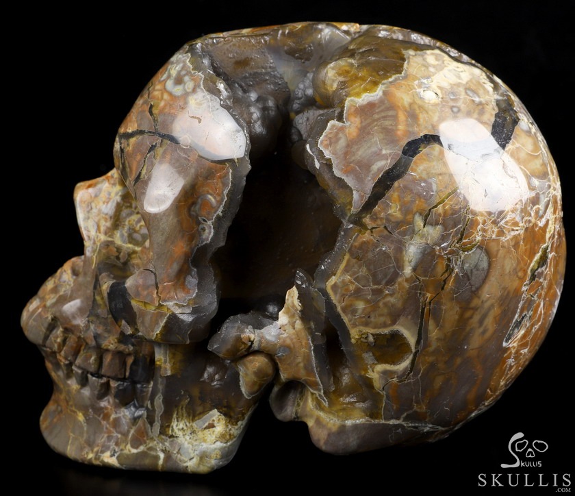 Lifesized Geode 6.2" Dinosaur Egg Agate Carved Crystal Skull,Super Realistic, Crystal Healing Lifesized Geode 6.2" Dinosaur Egg Agate Carved Crystal Skull,Super Realistic, Crystal Healing