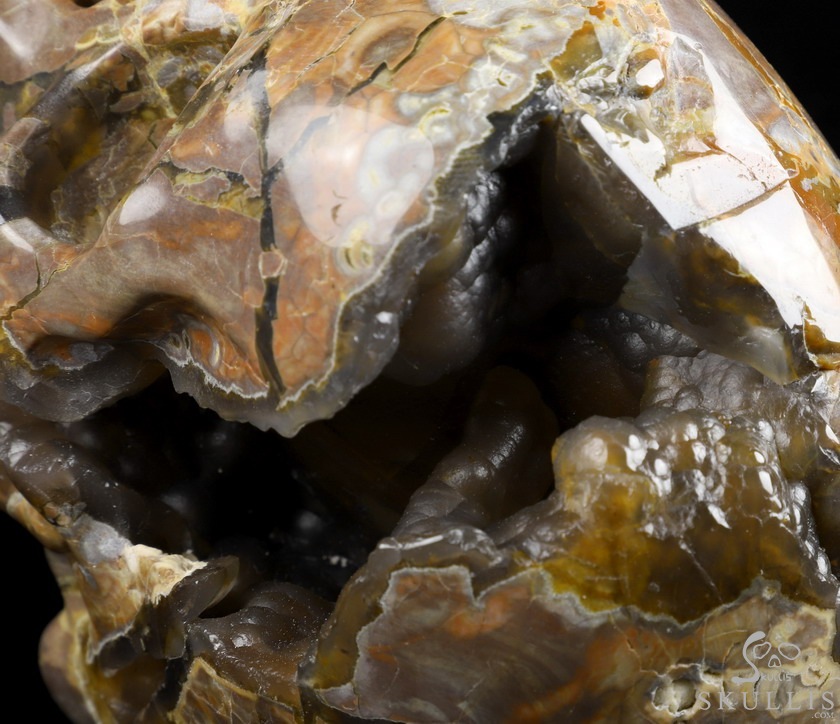 Lifesized Geode 6.2" Dinosaur Egg Agate Carved Crystal Skull,Super Realistic, Crystal Healing Lifesized Geode 6.2" Dinosaur Egg Agate Carved Crystal Skull,Super Realistic, Crystal Healing