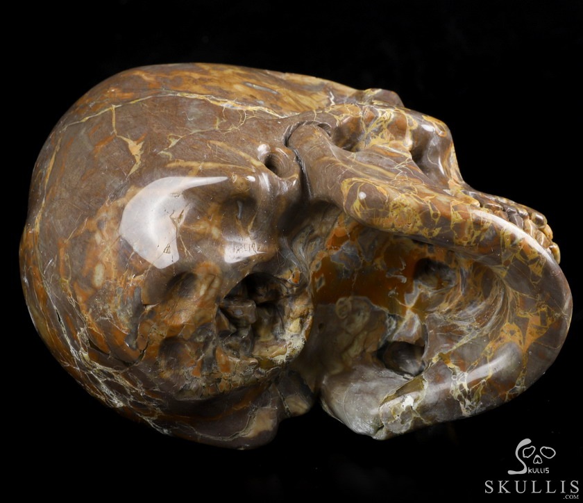 Lifesized Geode 6.2" Dinosaur Egg Agate Carved Crystal Skull,Super Realistic, Crystal Healing Lifesized Geode 6.2" Dinosaur Egg Agate Carved Crystal Skull,Super Realistic, Crystal Healing