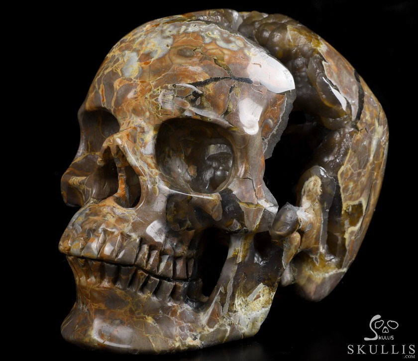 Lifesized Geode 6.2" Dinosaur Egg Agate Carved Crystal Skull,Super Realistic, Crystal Healing Lifesized Geode 6.2" Dinosaur Egg Agate Carved Crystal Skull,Super Realistic, Crystal Healing