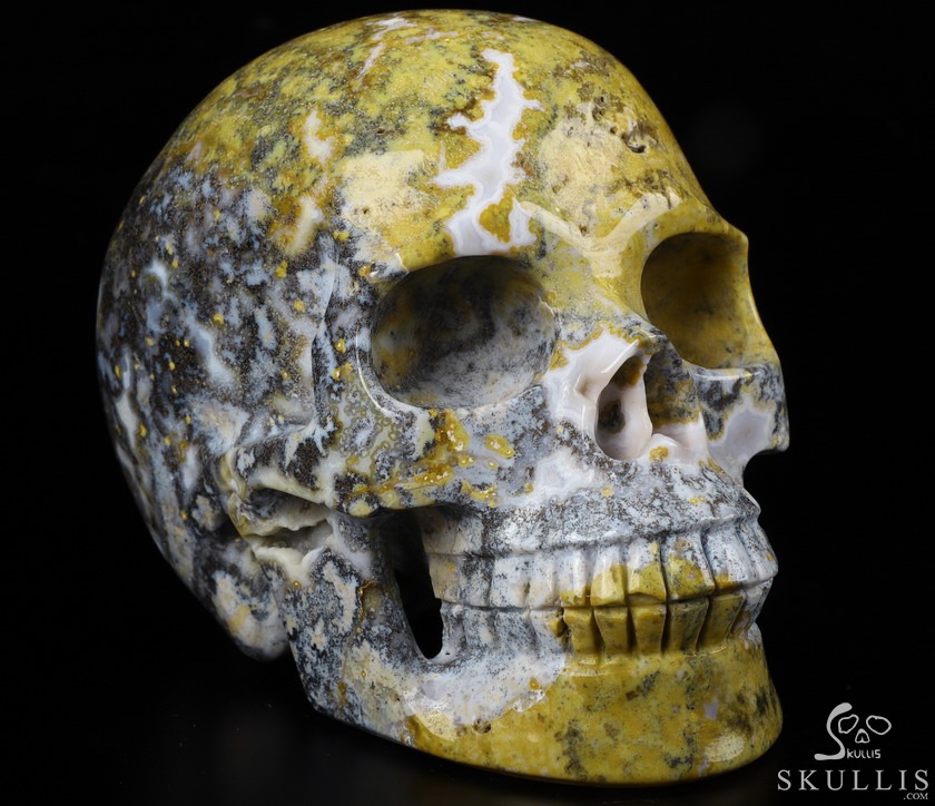Huge 5.2" Yellow Ocean Agate Carved Crystal Skull,Realistic, Crystal Healing Huge 5.2" Yellow Ocean Agate Carved Crystal Skull,Realistic, Crystal Healing