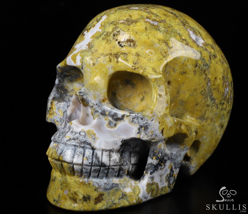 Huge 5.2" Yellow Ocean Agate Carved Crystal Skull,Realistic, Crystal Healing Huge 5.2" Yellow Ocean Agate Carved Crystal Skull,Realistic, Crystal Healing