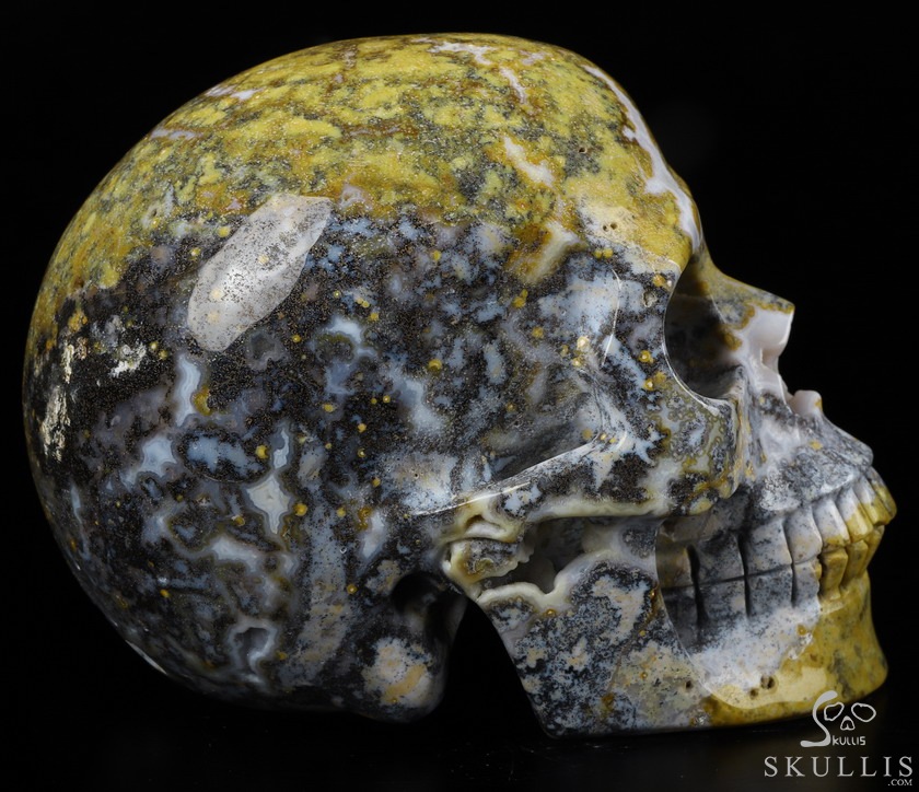 Huge 5.2" Yellow Ocean Agate Carved Crystal Skull,Realistic, Crystal Healing Huge 5.2" Yellow Ocean Agate Carved Crystal Skull,Realistic, Crystal Healing