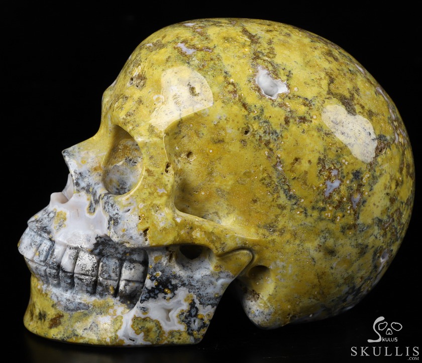 Huge 5.2" Yellow Ocean Agate Carved Crystal Skull,Realistic, Crystal Healing Huge 5.2" Yellow Ocean Agate Carved Crystal Skull,Realistic, Crystal Healing