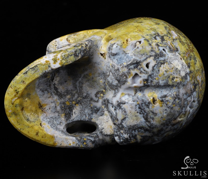 Huge 5.2" Yellow Ocean Agate Carved Crystal Skull,Realistic, Crystal Healing Huge 5.2" Yellow Ocean Agate Carved Crystal Skull,Realistic, Crystal Healing