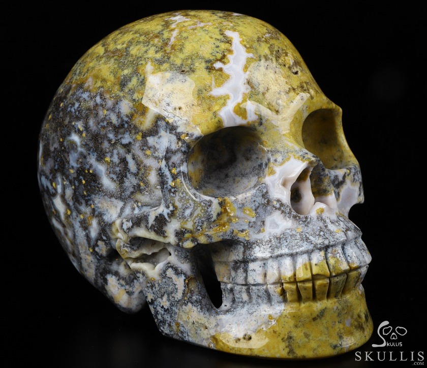 Huge 5.2" Yellow Ocean Agate Carved Crystal Skull,Realistic, Crystal Healing Huge 5.2" Yellow Ocean Agate Carved Crystal Skull,Realistic, Crystal Healing
