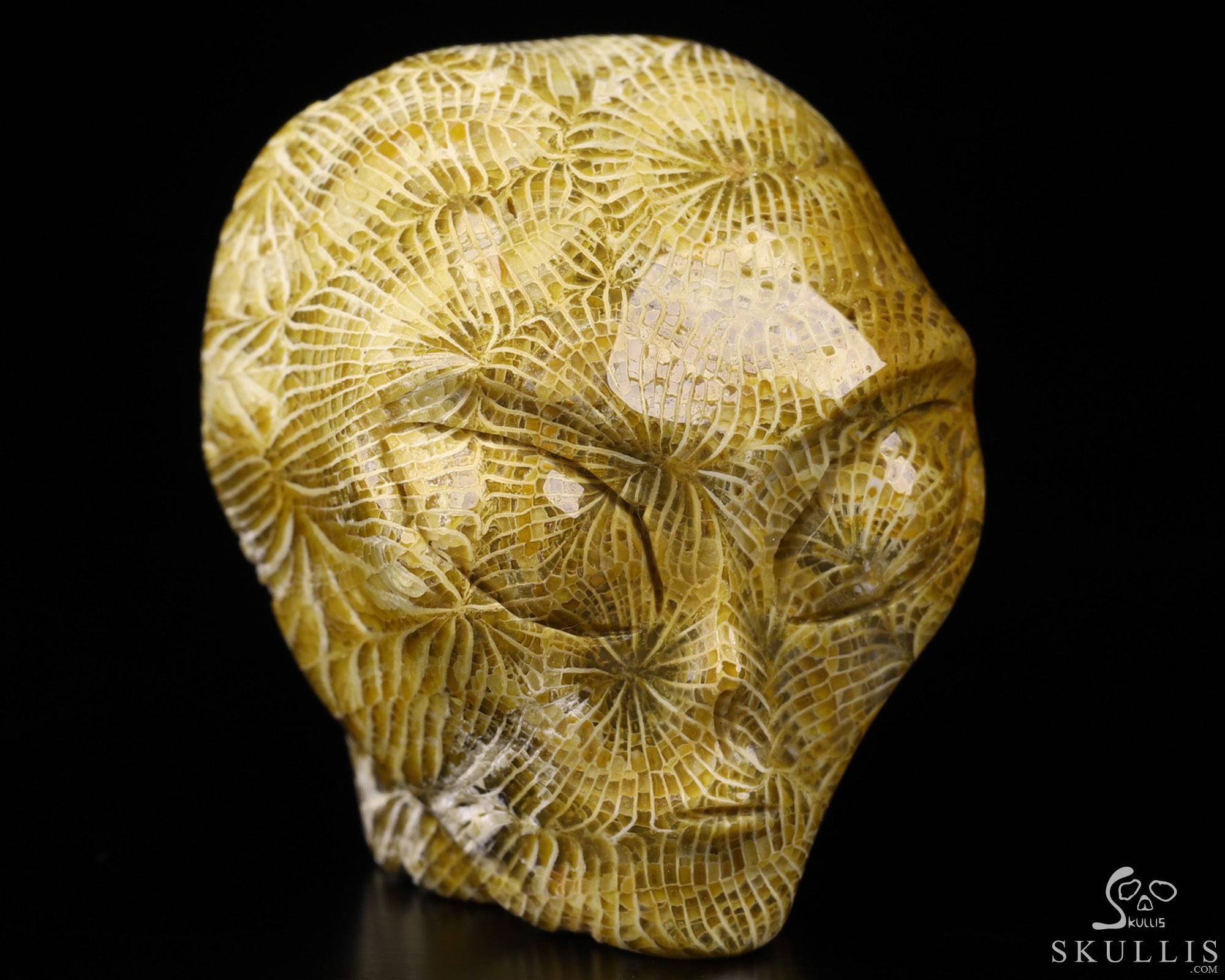 2.0" Coral Fossil Star Being Female Alien Crystal Skull Companion With Eyes, Hand Carved Gemstone Fine Art Sculpture, Reiki Healing Stone Statue 2.0" Coral Fossil Star Being Female Alien Crystal Skull Companion With Eyes, Hand Carved Gemstone Fine Art Sculpture, Reiki Healing Stone Statue